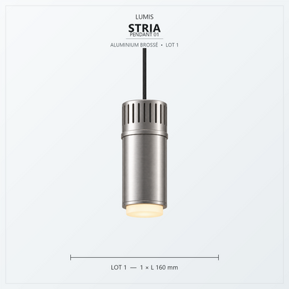 STRIA aluminium brossé, intégration intérieure 1